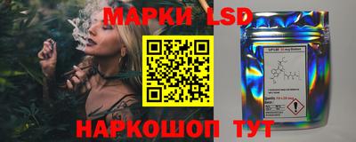mdpv Бердск