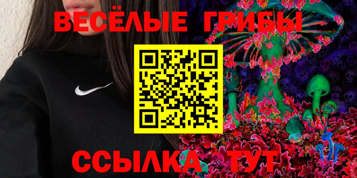 Галлюциногенные грибы Cubensis Киров