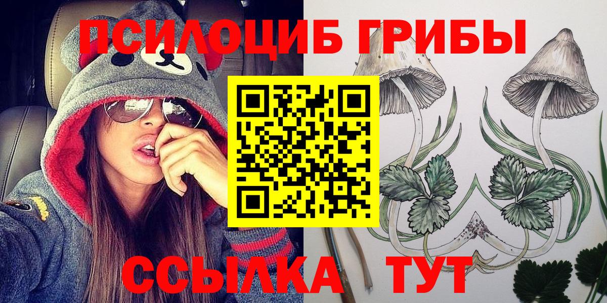 Галлюциногенные грибы Psilocybe  дарнет шоп  Псилоцибиновые грибы Cubensis  Киров  Вход с VPN 